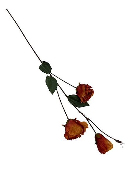 Eustoma jesienna gałązka 82 cm pomarańcz