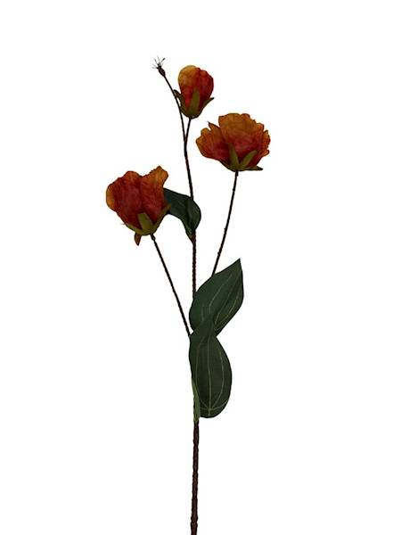 Eustoma jesienna gałązka 82 cm pomarańcz