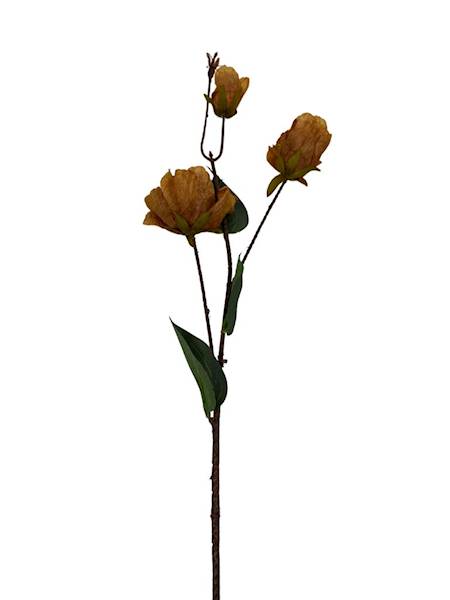 Eustoma jesienna gałązka 82 cm jasny brąz