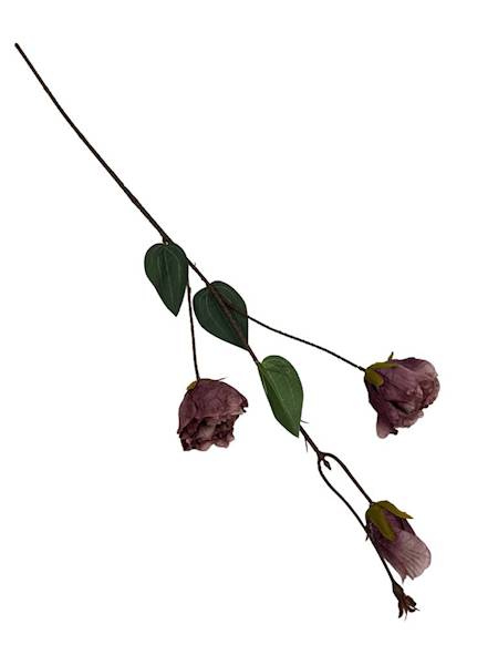 Eustoma jesienna gałązka 82 cm brudny róż