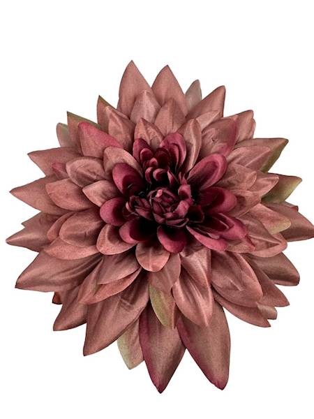 Dalia główka XXL 28 cm brąz / bordo
