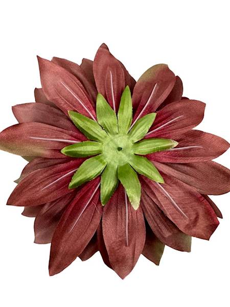 Dalia główka XXL 28 cm brąz / bordo