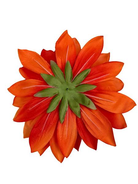 Dalia główka XXL 28 cm mocny pomarańcz