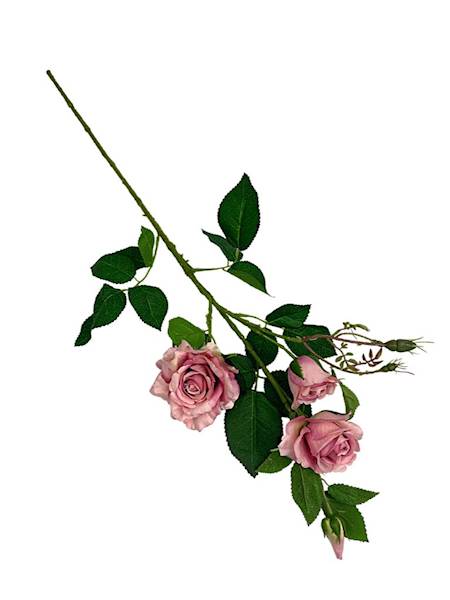 Róża gałązka 77 cm różowa