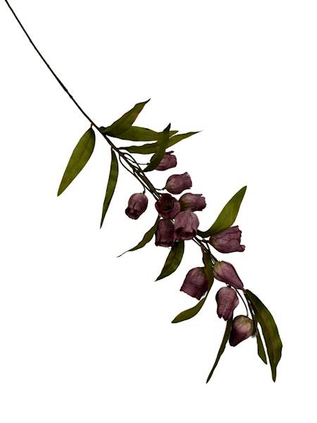 Dzwonki jesienne gałązka 105 cm brudny fiolet