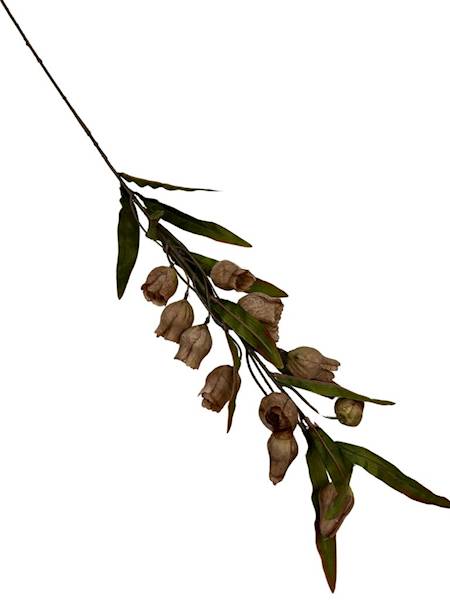 Dzwonki jesienne gałązka 105 cm brąz