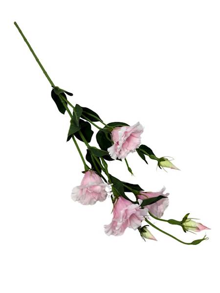 Eustoma gałązka 80 cm perłowy róż