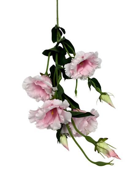 Eustoma gałązka 80 cm perłowy róż