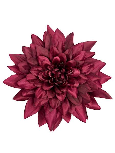 Dalia główka XXL 28 cm bordo