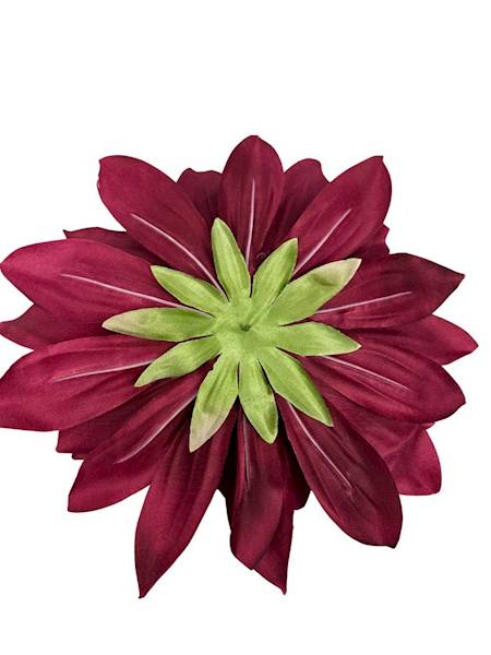 Dalia główka XXL 28 cm bordo