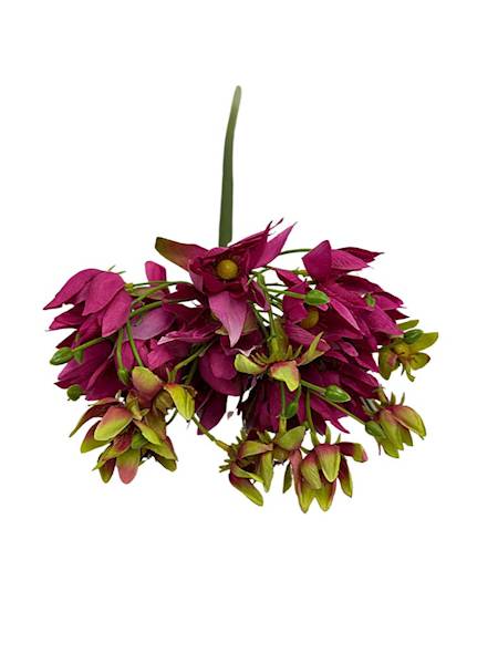 Agapantus gałązka 57 cm ciemny róż