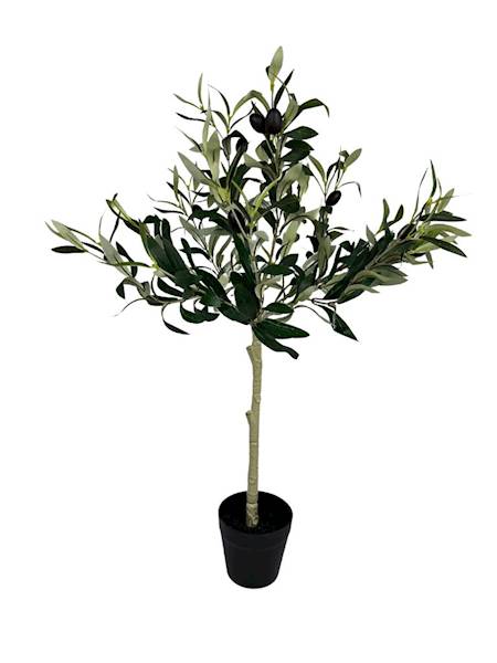 Drzewko oliwne w doniczce 68 cm