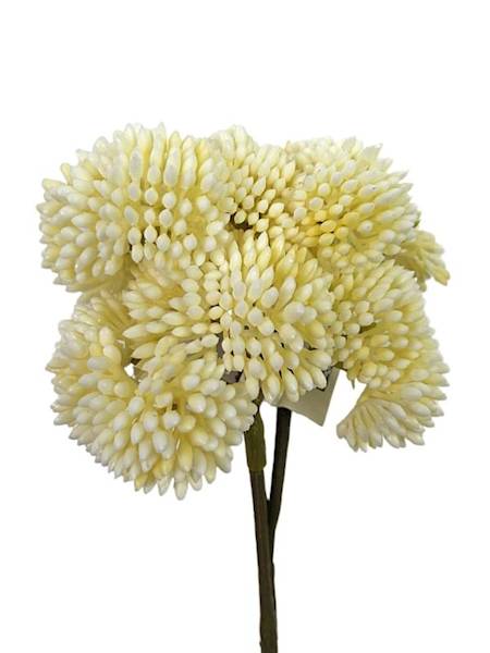 Rozchodnik gałązka 45 cm kremowy