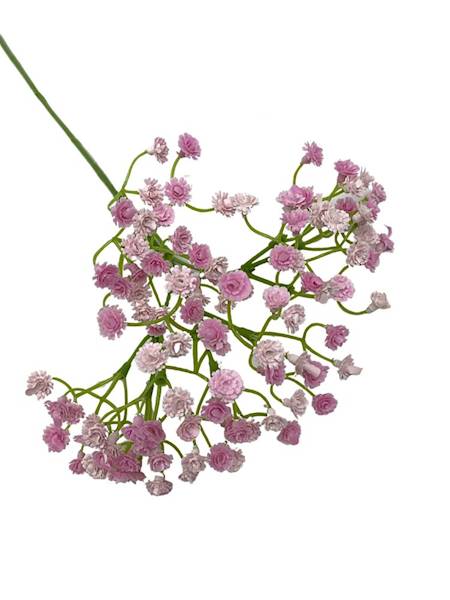 Gipsówka 50 cm jasno różowa z różem