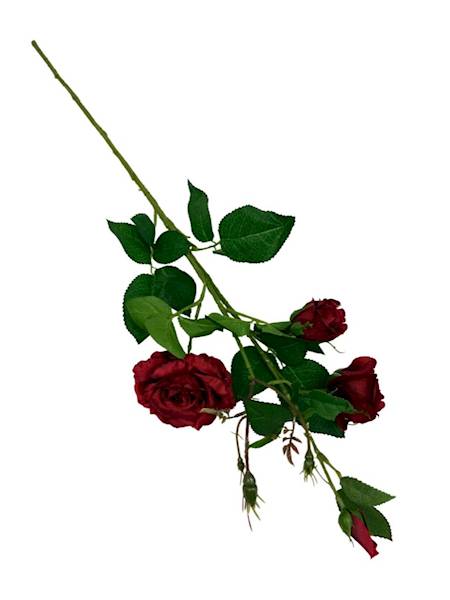 Róża gałązka 77 cm czerwona