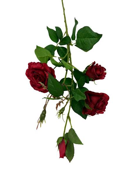 Róża gałązka 77 cm czerwona