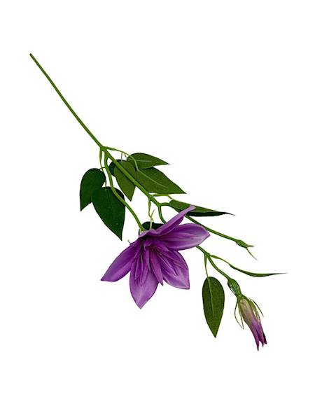 Klematis gałązka 48 cm fiolet