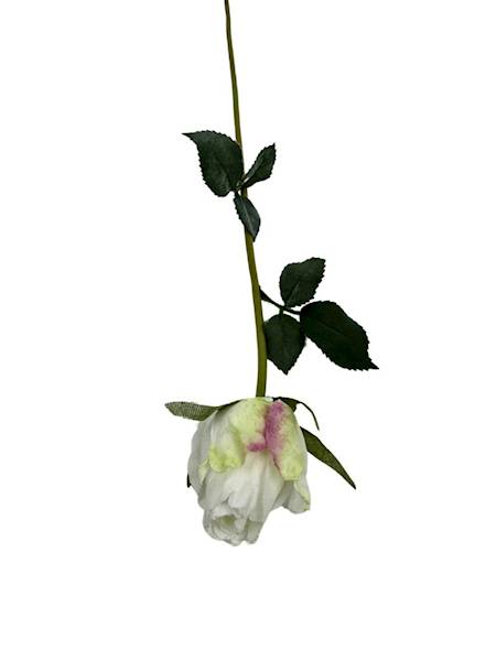 Róża gałązka 52 cm biała