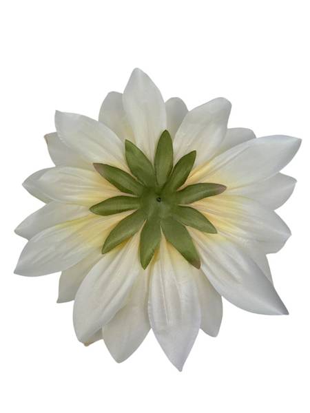 Dalia główka XXL 28 cm kremowa