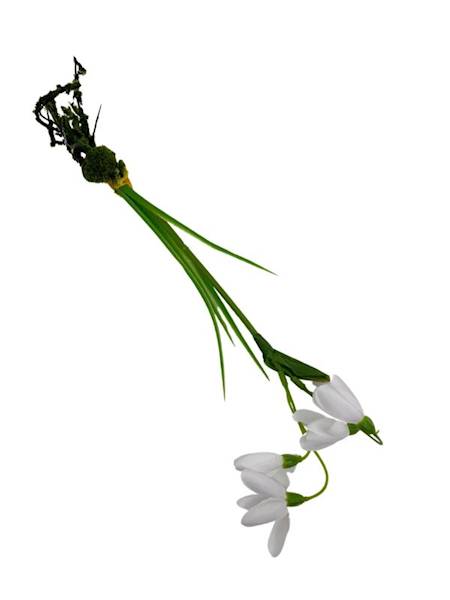 Przebiśnieg 37 cm biały