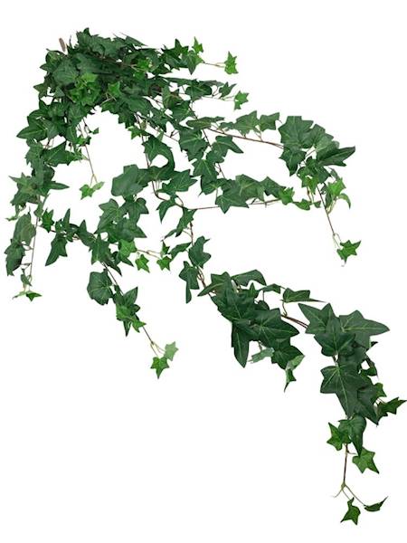 Bluszcz hedera wiszący bukiet 132 cm