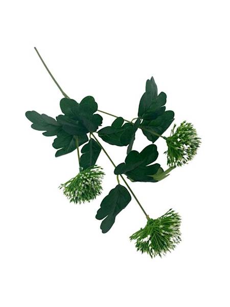 Czosnek 50 cm zielono biały