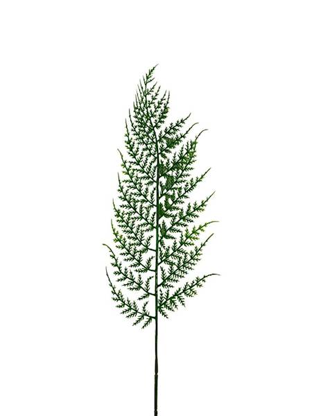 Paproć liść 63 cm zielony