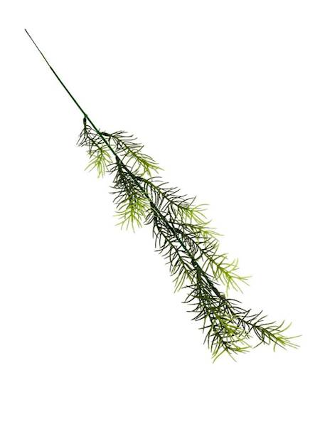 Aszparagus gałązka 52 cm zielony