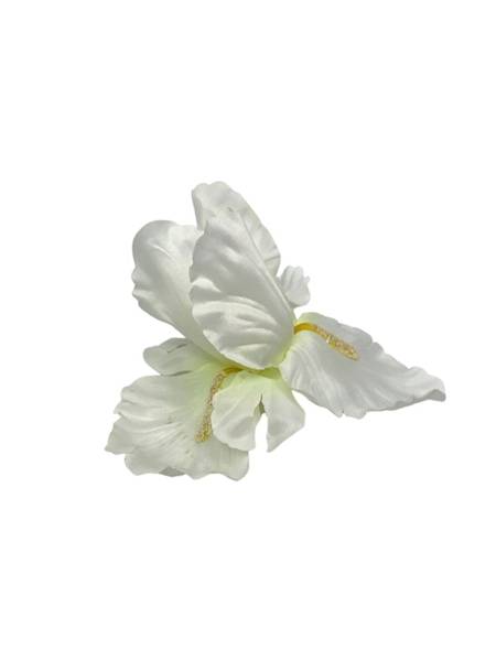 Irys główka 10 cm kremowy