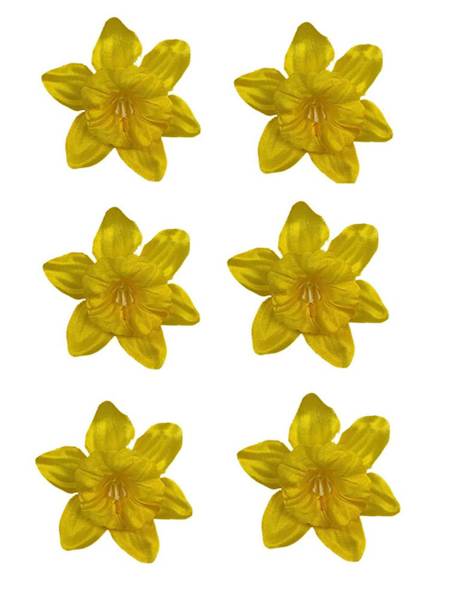 Żonkil mini główka 6 cm żółty 6 SZTUK