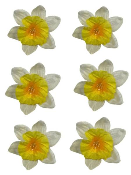 Żonkil mini główka 6 cm kremowo żółty 6 SZTUK