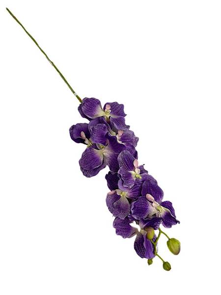 Storczyk Vanda gałązka 98 cm fiolet