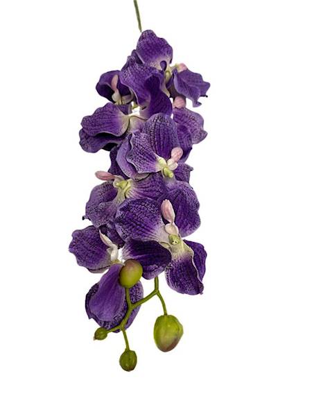 Storczyk Vanda gałązka 98 cm fiolet