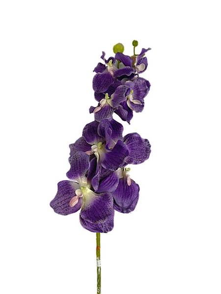 Storczyk Vanda gałązka 98 cm fiolet