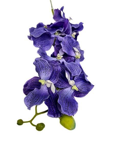 Storczyk Vanda gałązka 98 cm niebiesko fioletowy