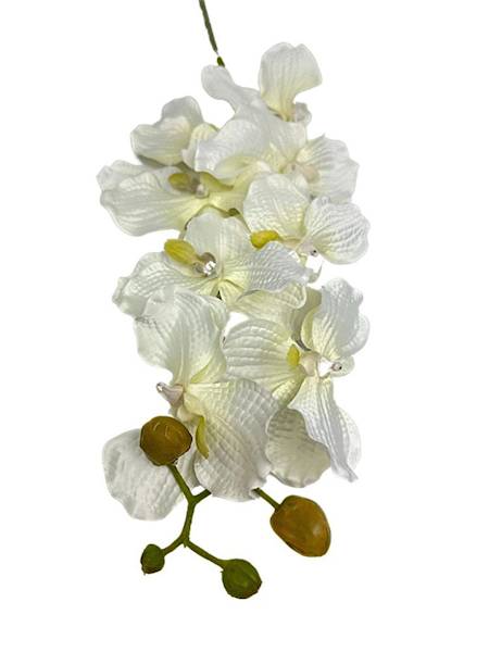 Storczyk Vanda gałązka 98 cm kremowy