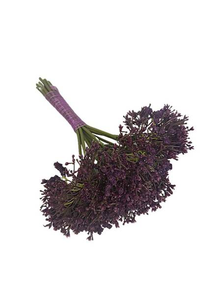 Gipsówka bukiet 28 cm purpurowa