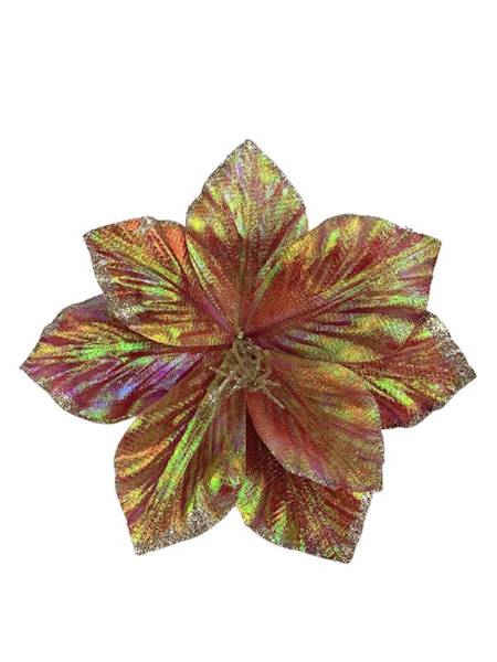 Pik amarylis świąteczny 24 cm różowy