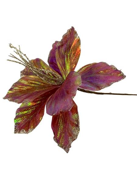 Pik amarylis świąteczny 24 cm różowy