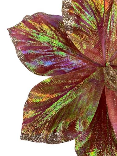 Pik amarylis świąteczny 24 cm różowy