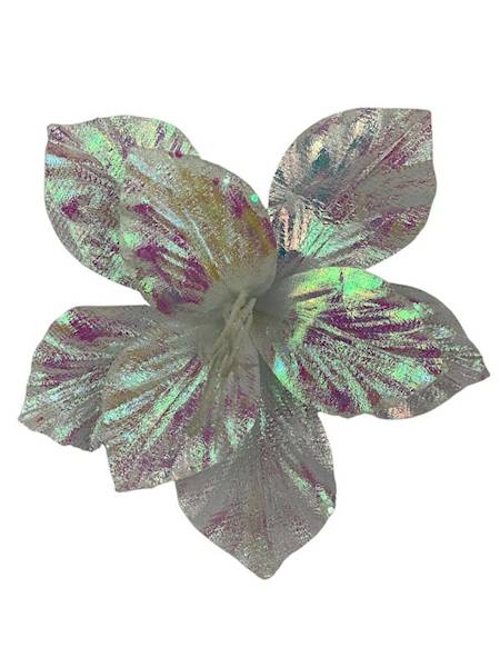 Pik amarylis świąteczny 24 cm biały