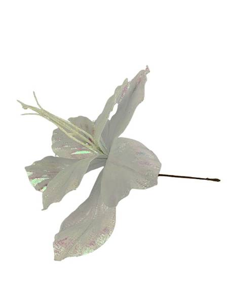 Pik amarylis świąteczny 24 cm biały