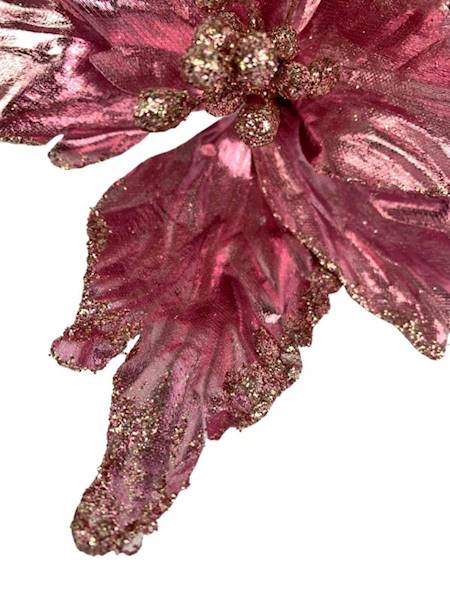 Pik gwiazda betlejemska 22 cm różowa