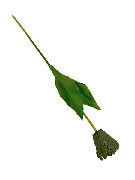 Tulipan gałązka 54 cm brudna zieleń