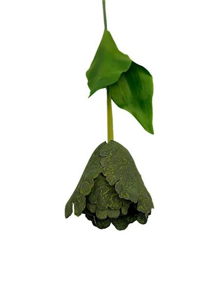 Tulipan gałązka 54 cm brudna zieleń