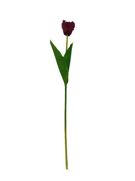 Tulipan gałązka 54 cm bordo