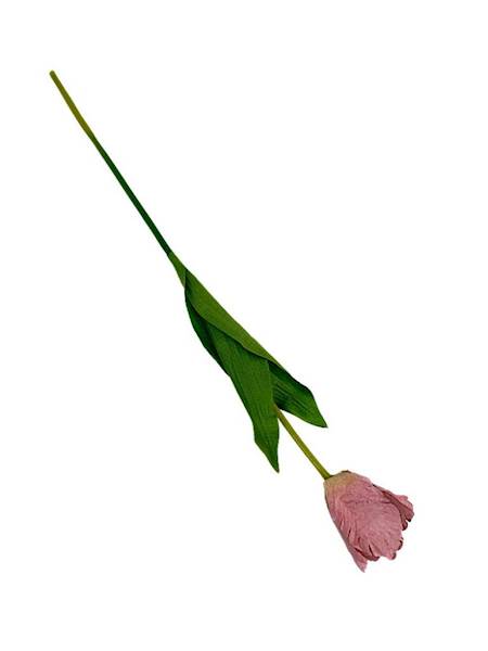 Tulipan gałązka 54 cm brudny róż