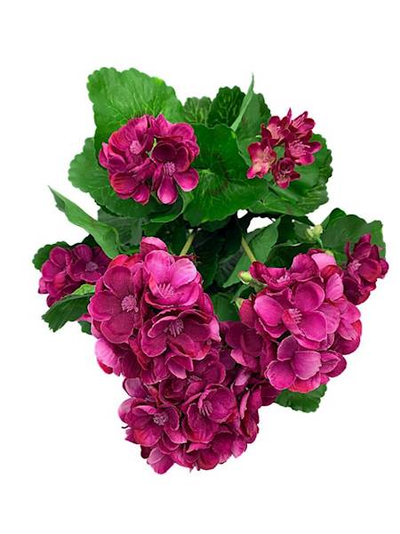 Bukiet pelargonia 40 cm fuksja