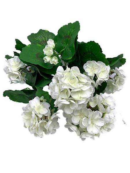 Bukiet pelargonia 40 cm biała