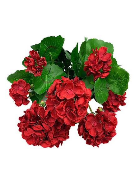 Bukiet pelargonia 40 cm czerwona